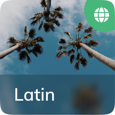 Dance and sway to indie rhythms that capture the spirit of reggaeton & Latin pop
