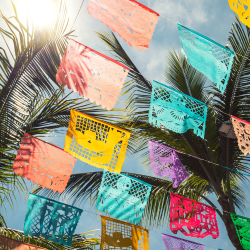 From reggaeton to Corridos, explore the infectious beats found in popular Latin music.