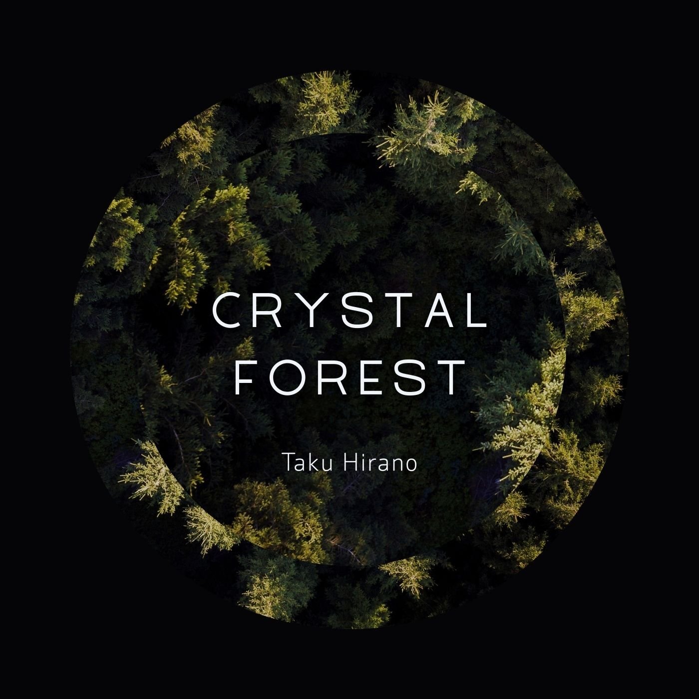 Crystal Forest